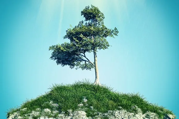 4 Reasons Working With Remote Developers May Be Better Than Working With A Local One